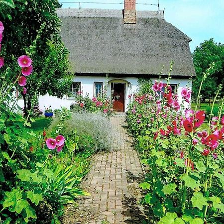Ruegen_Fewo 266 Lägenhet Gurtitz Exteriör bild